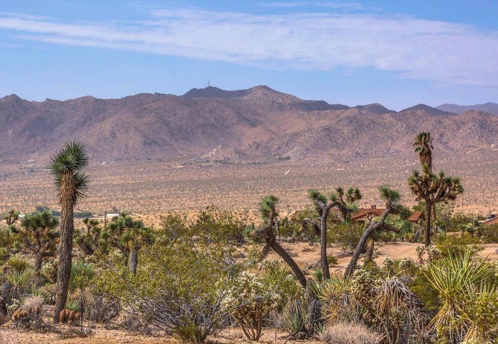 Jt Cottage Yucca Valley Buitenkant foto