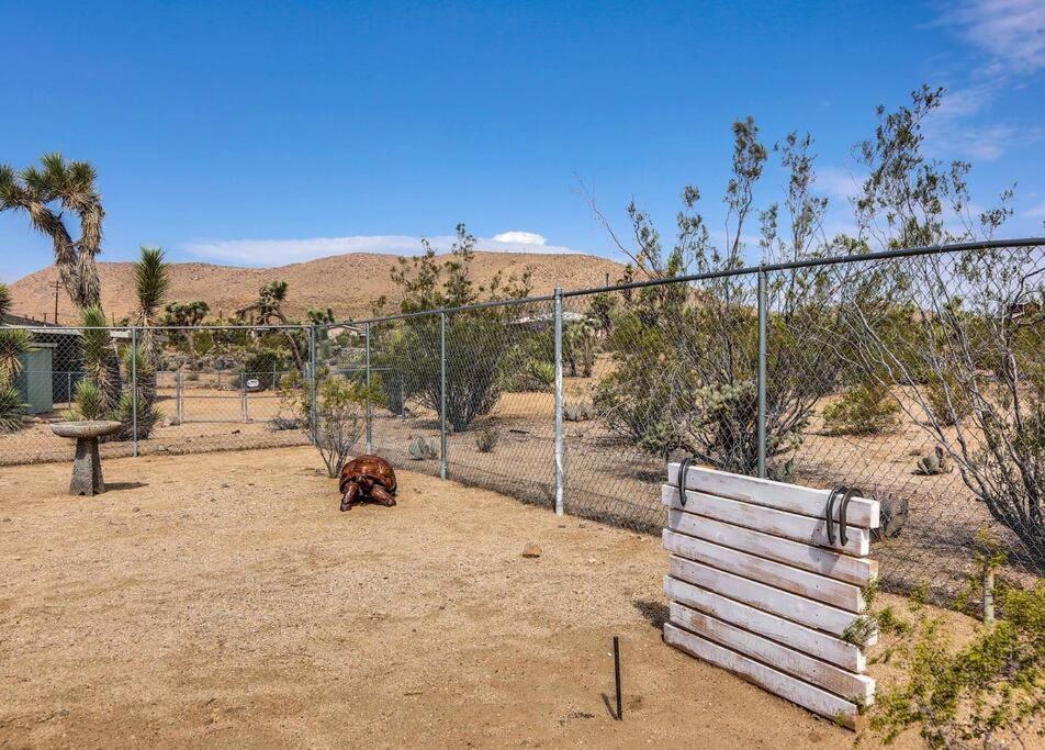 Jt Cottage Yucca Valley Buitenkant foto